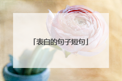 表白的句子短句