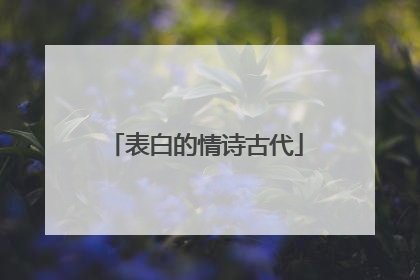 表白的情诗古代
