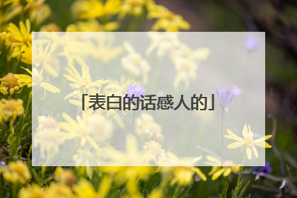 表白的话感人的