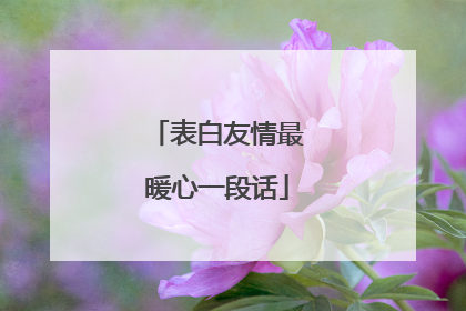 表白友情最暖心一段话