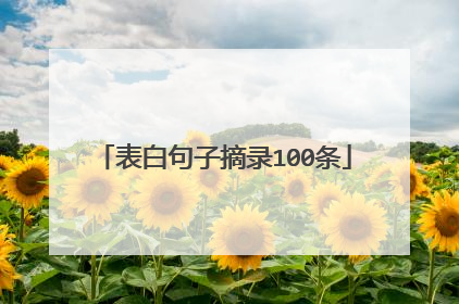 表白句子摘录100条