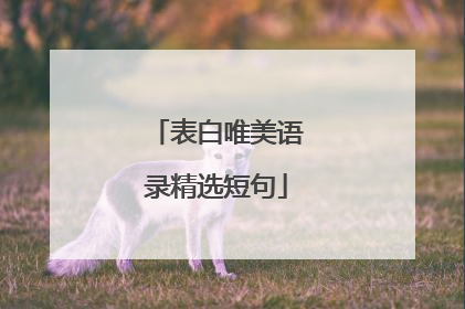 表白唯美语录精选短句