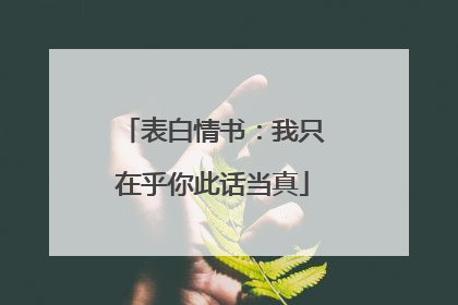 表白情书：我只在乎你此话当真