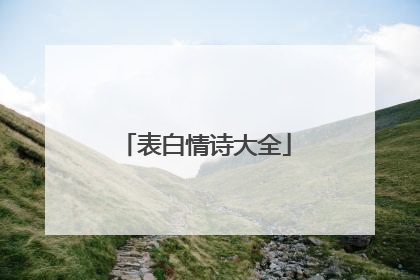 表白情诗大全