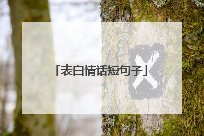 表白情话短句子