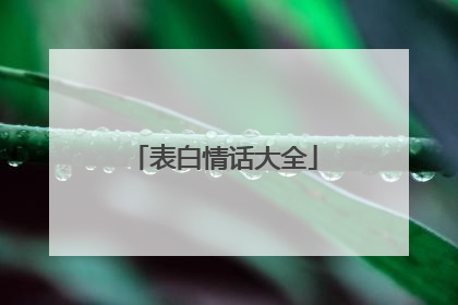 表白情话大全