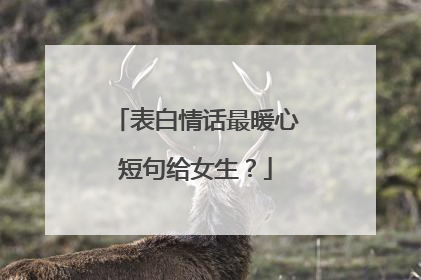 表白情话最暖心短句给女生？