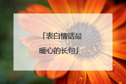 表白情话最暖心的长句