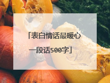 表白情话最暖心一段话500字