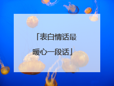 表白情话最暖心一段话