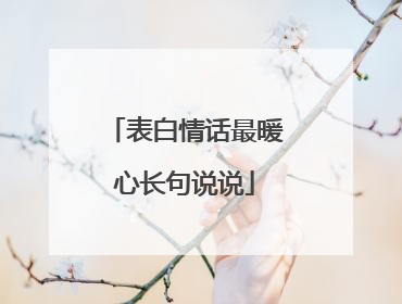表白情话最暖心长句说说