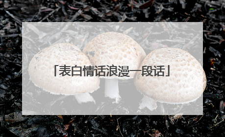 表白情话浪漫一段话