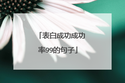 表白成功成功率99的句子