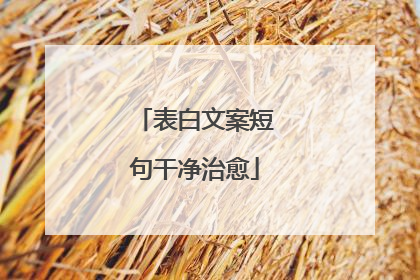 表白文案短句干净治愈