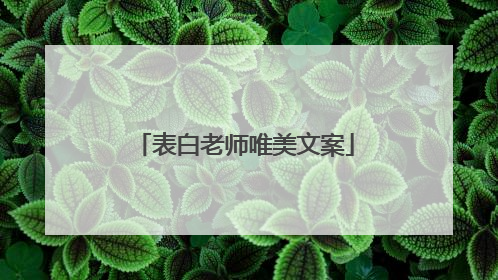 表白老师唯美文案