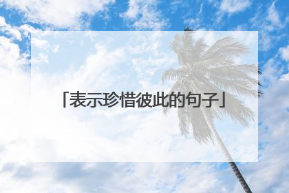 表示珍惜彼此的句子