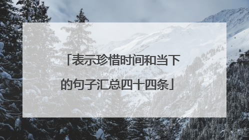 表示珍惜时间和当下的句子汇总四十四条