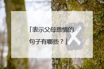 表示父母恩情的句子有哪些?