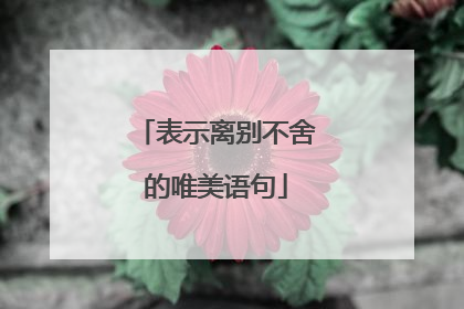 表示离别不舍的唯美语句