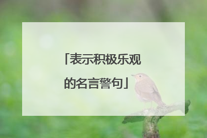 表示积极乐观的名言警句