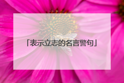 表示立志的名言警句