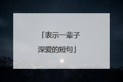表示一辈子深爱的短句