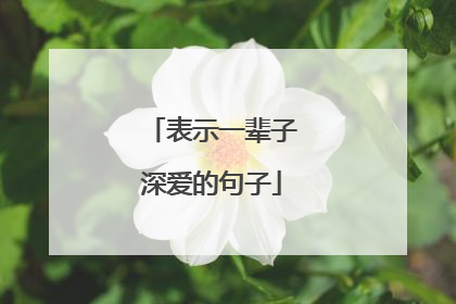 表示一辈子深爱的句子