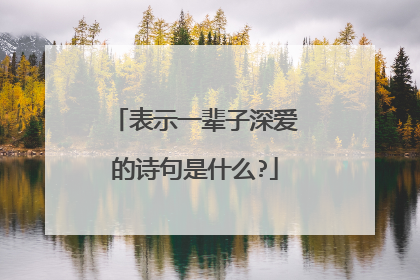 表示一辈子深爱的诗句是什么?