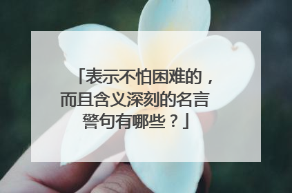 表示不怕困难的,而且含义深刻的名言警句有哪些?