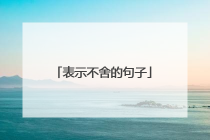 表示不舍的句子