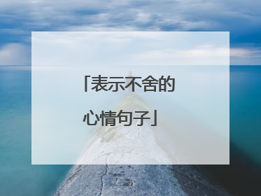 表示不舍的心情句子