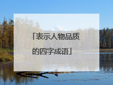 表示人物品质的四字成语