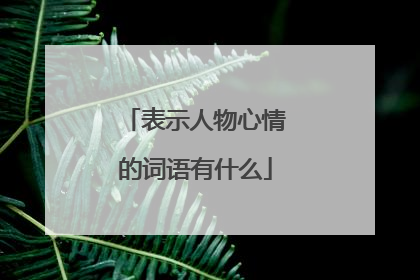 表示人物心情的词语有什么