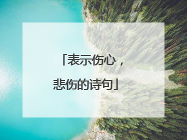 表示伤心,悲伤的诗句