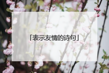 表示友情的诗句