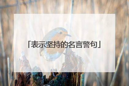 表示坚持的名言警句