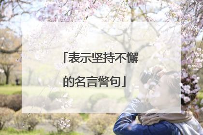 表示坚持不懈的名言警句
