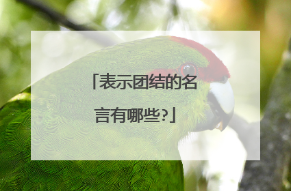 表示团结的名言有哪些?