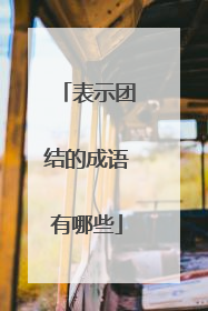 表示团结的成语有哪些