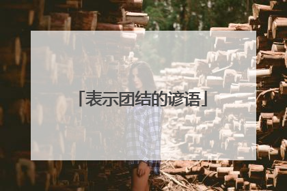 表示团结的谚语