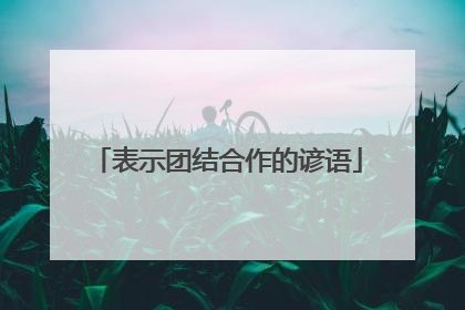 表示团结合作的谚语