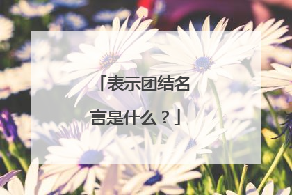 表示团结名言是什么?
