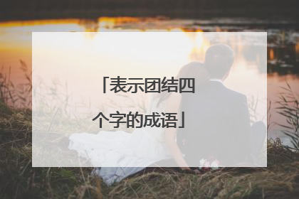 表示团结四个字的成语