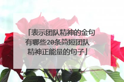 表示团队精神的金句有哪些20条简短团队精神正能量的句子