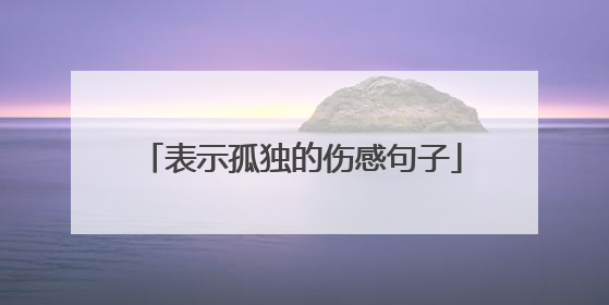 表示孤独的伤感句子