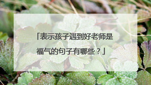 表示孩子遇到好老师是福气的句子有哪些？
