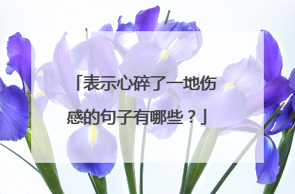 表示心碎了一地伤感的句子有哪些?
