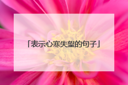 表示心寒失望的句子