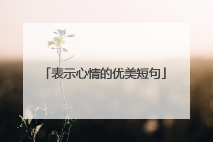 表示心情的优美短句