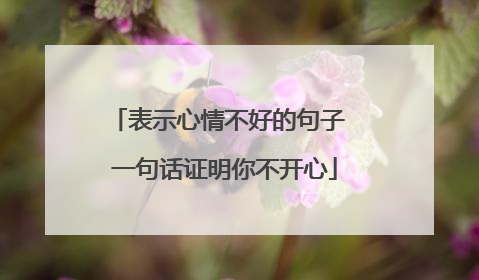 表示心情不好的句子 一句话证明你不开心